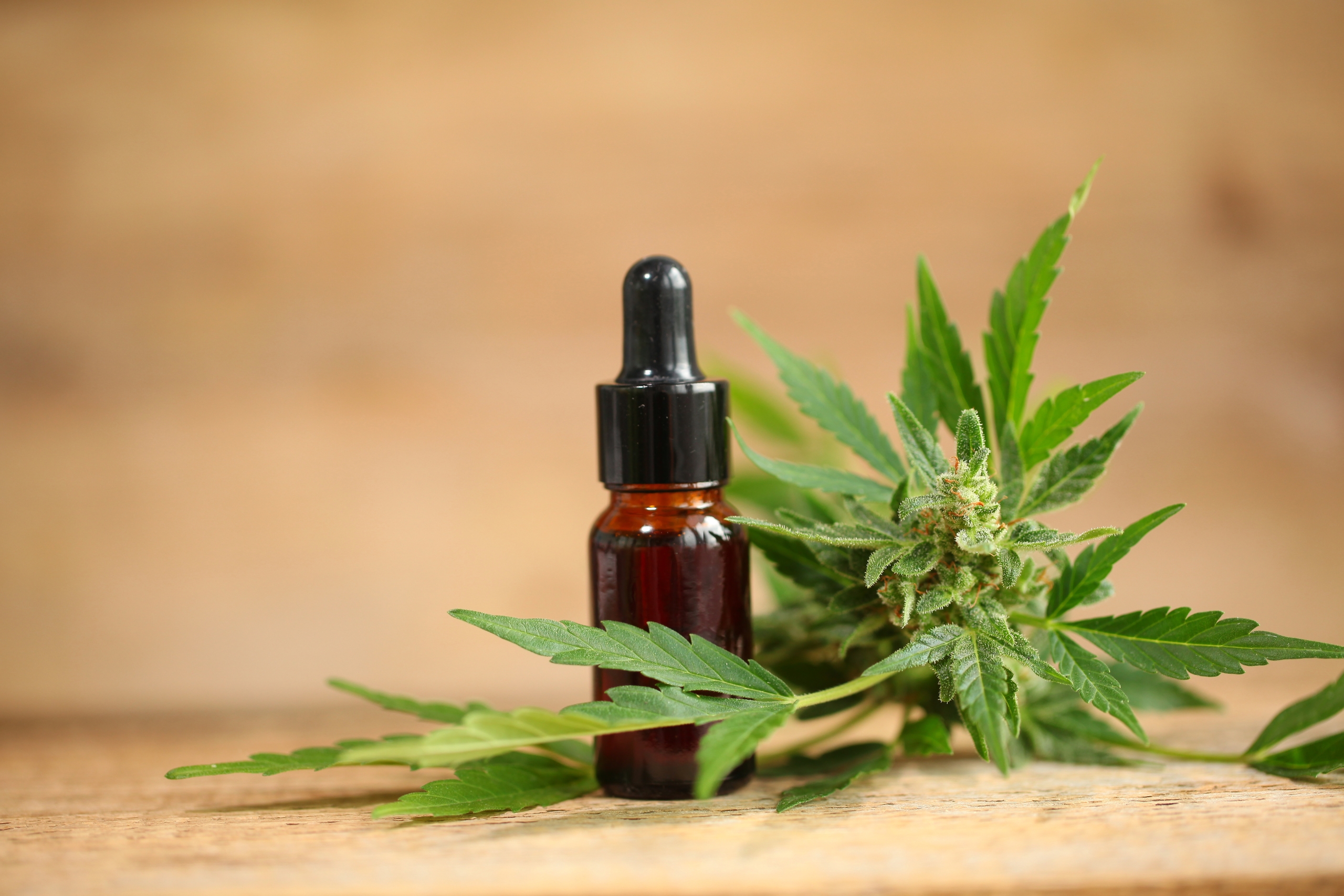 CBD Olje Norge