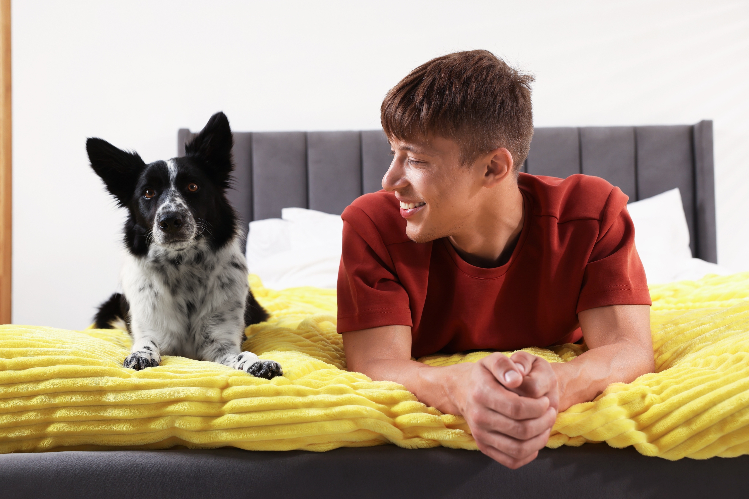 Pet-Friendly Bedroom Design Ideas How to Create a Stylish, Comfortable, and Genuinely Practical Space That Works Beautifully for Both You and Your Beloved Pets